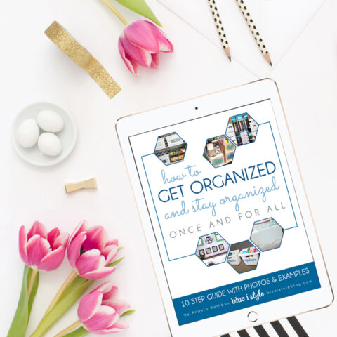 Free Organizing EBook - Blue I Style